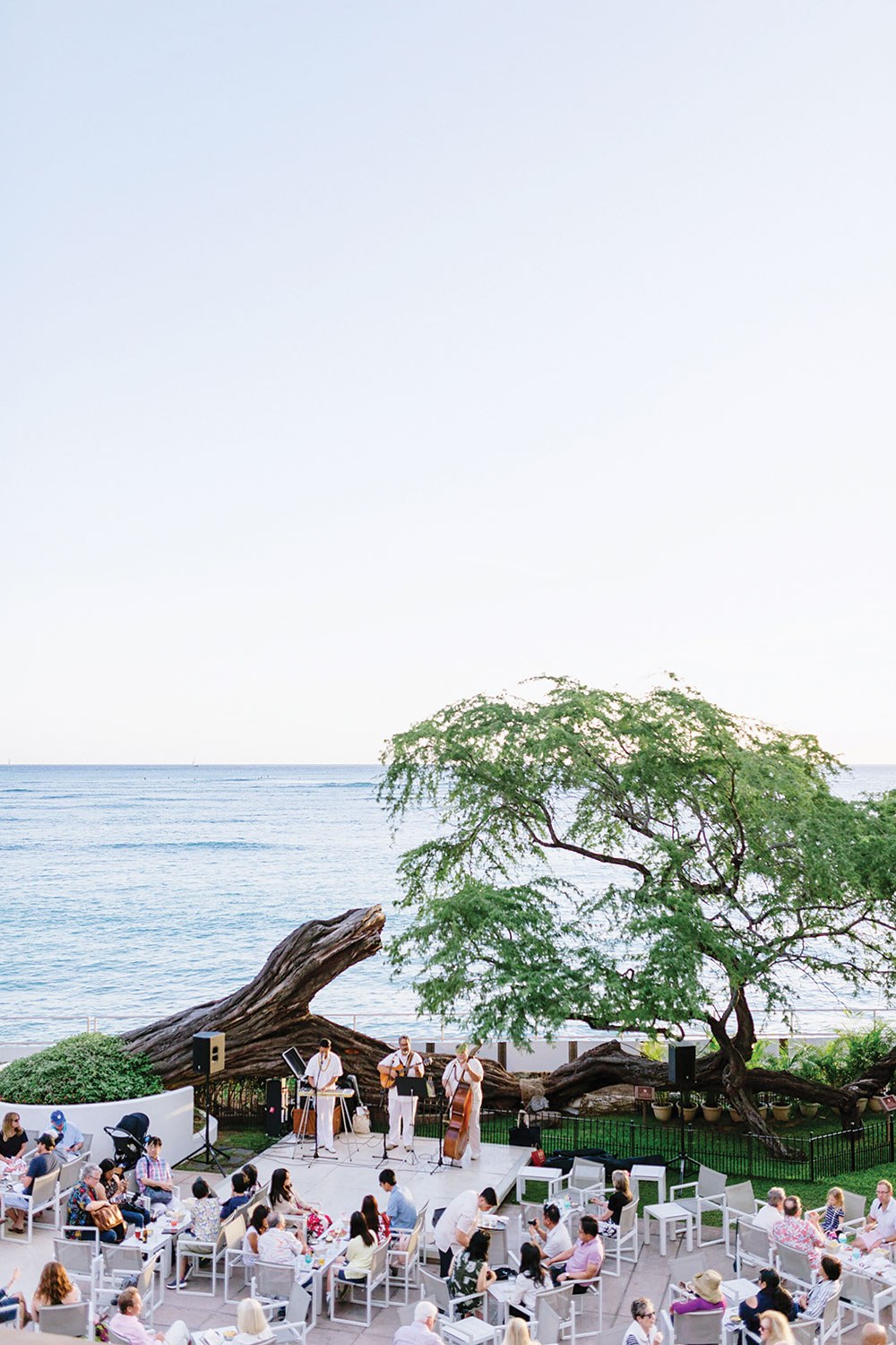 Trio band dress in white play for a crowd in front of a tree and ocean.