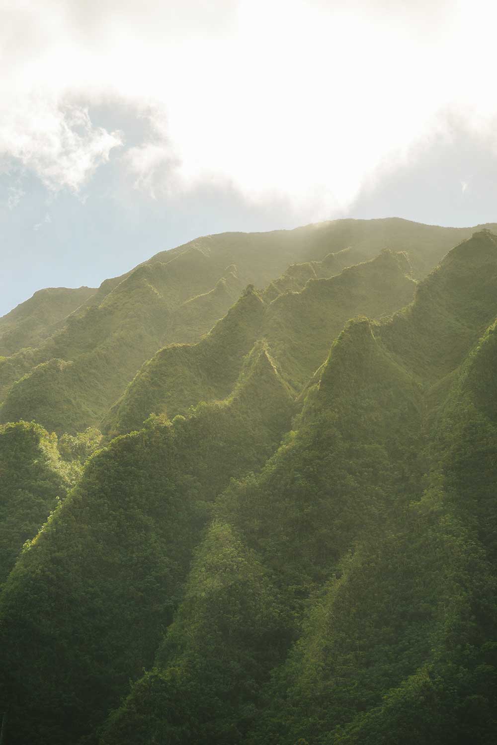 Green mountains of Oahu